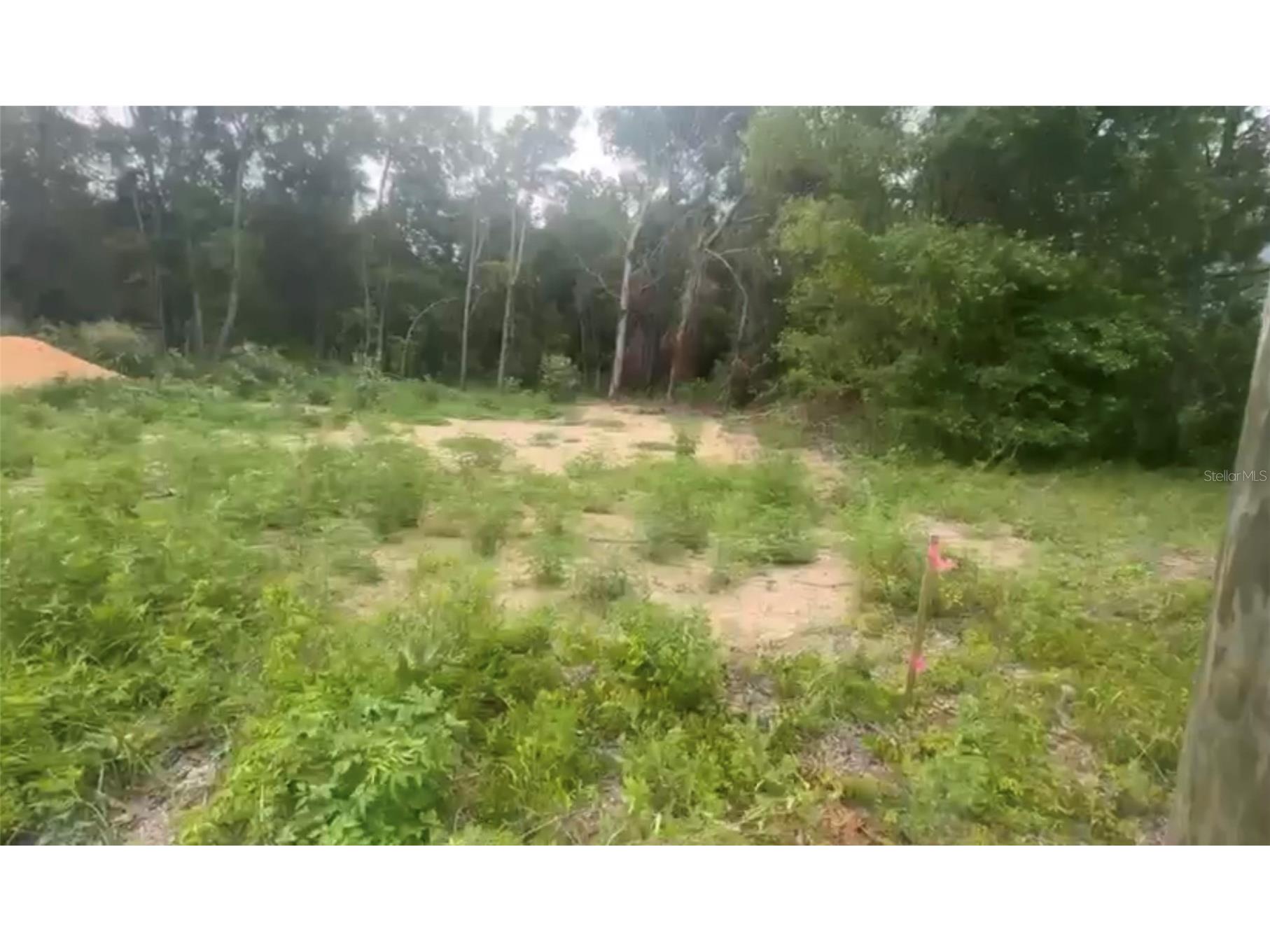 5311 NW 7th Street Ocala FL 34482 O6383079 image8