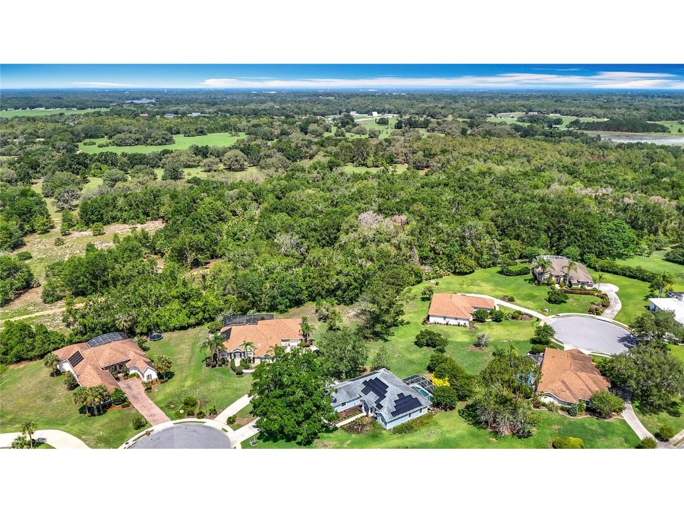 5311 Saddleback Court Lady Lake FL 32159 - LAKE GRIFFIN O6315537 image2