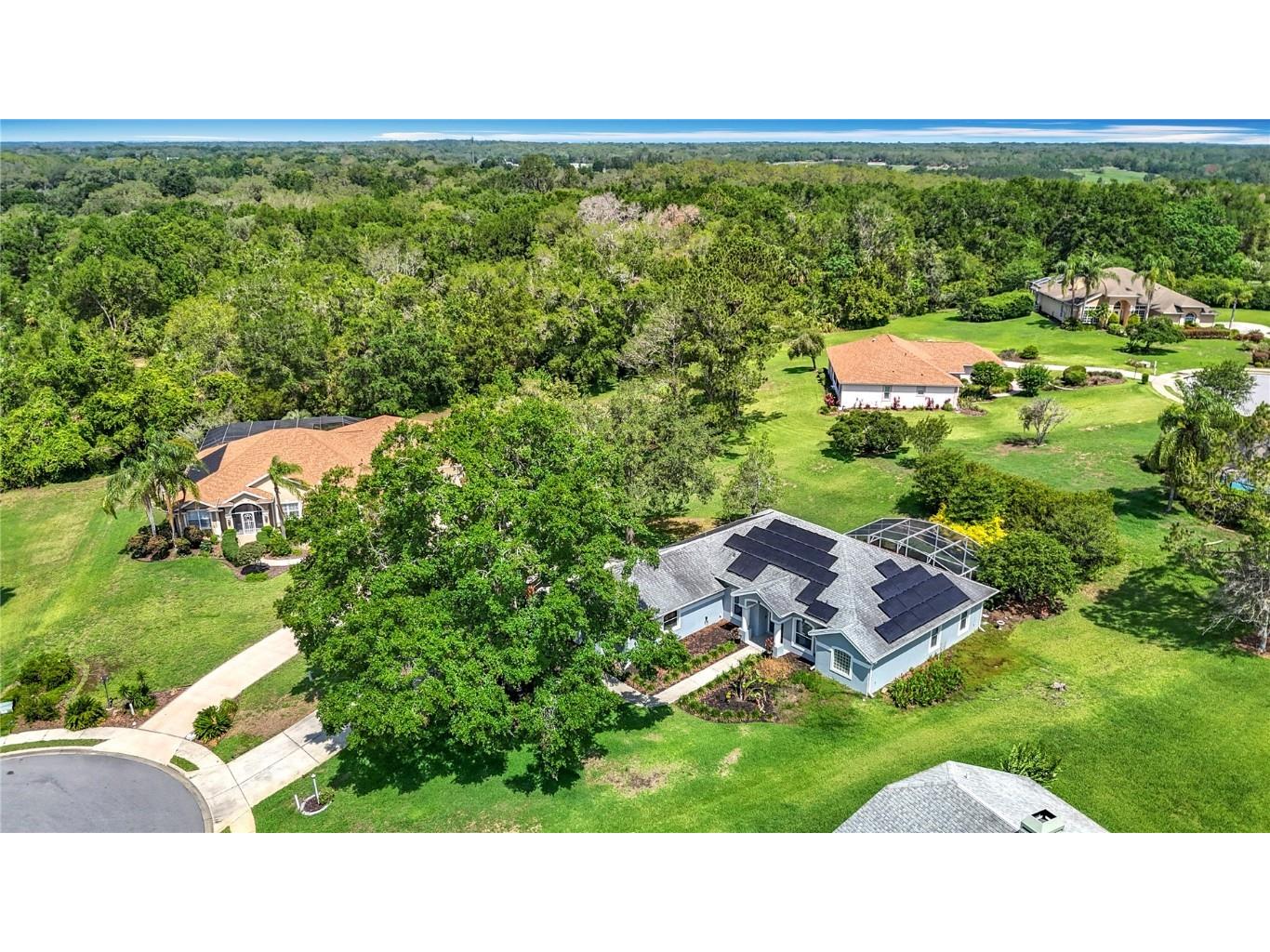 5311 Saddleback Court Lady Lake FL 32159 - LAKE GRIFFIN O6315537 image3