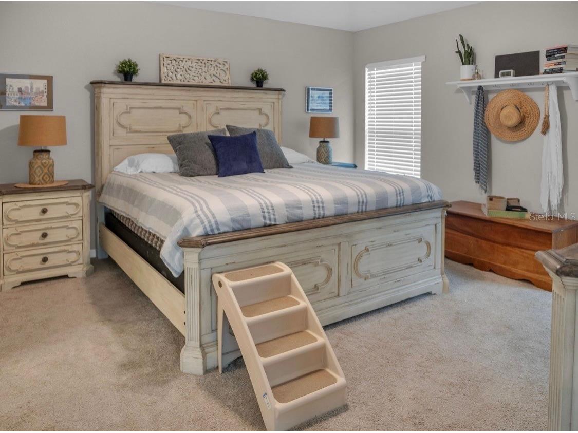 5311 SE 135th Place Summerfield FL 34491 OM722824 image37
