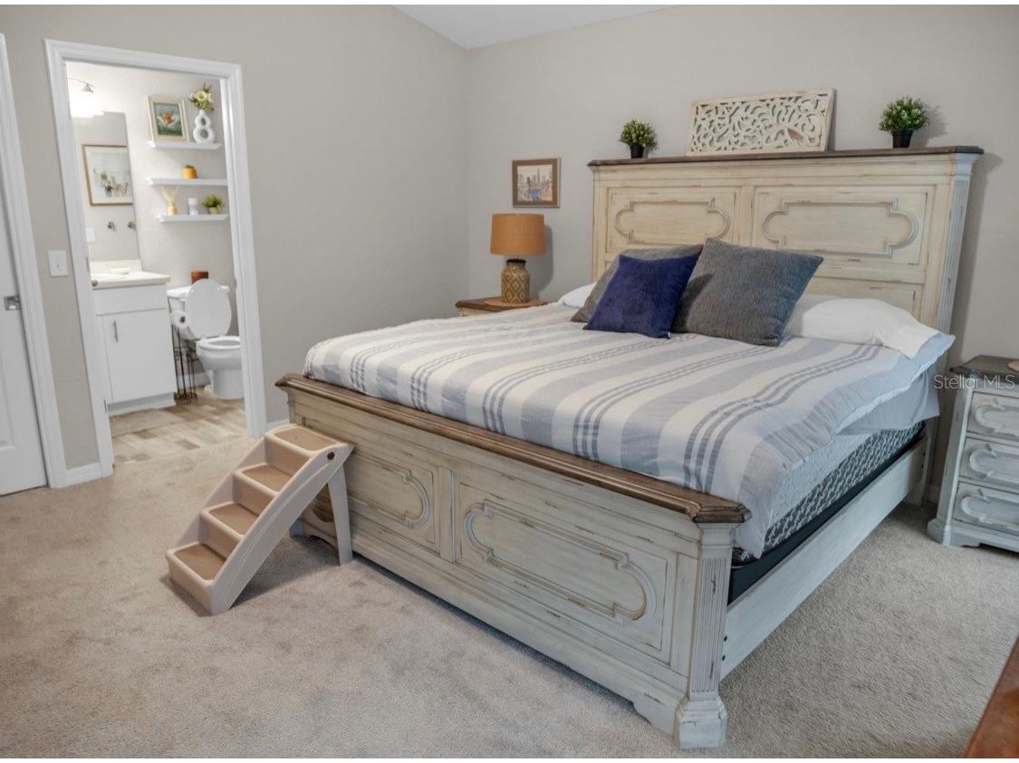 5311 SE 135th Place Summerfield FL 34491 OM722824 image38
