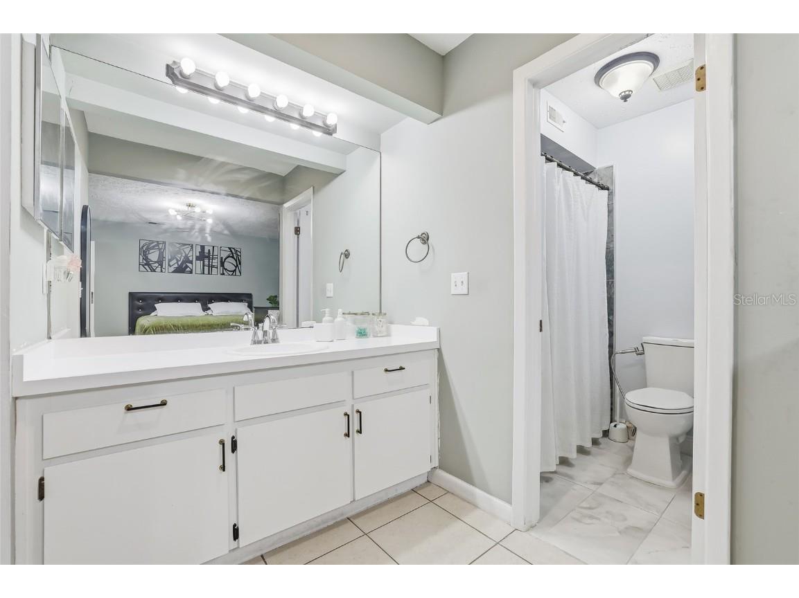 5312 Black Pine Drive Tampa FL 33624 TB8455290 image19