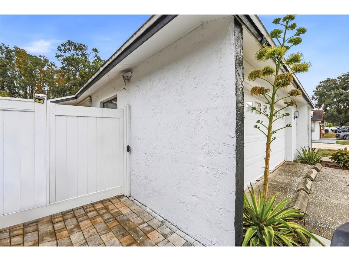 5312 Black Pine Drive Tampa FL 33624 TB8455290 image3