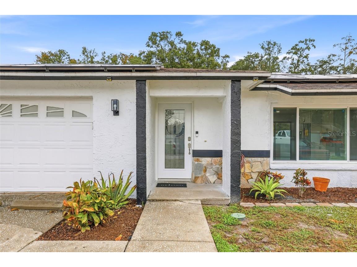 5312 Black Pine Drive Tampa FL 33624 TB8455290 image4