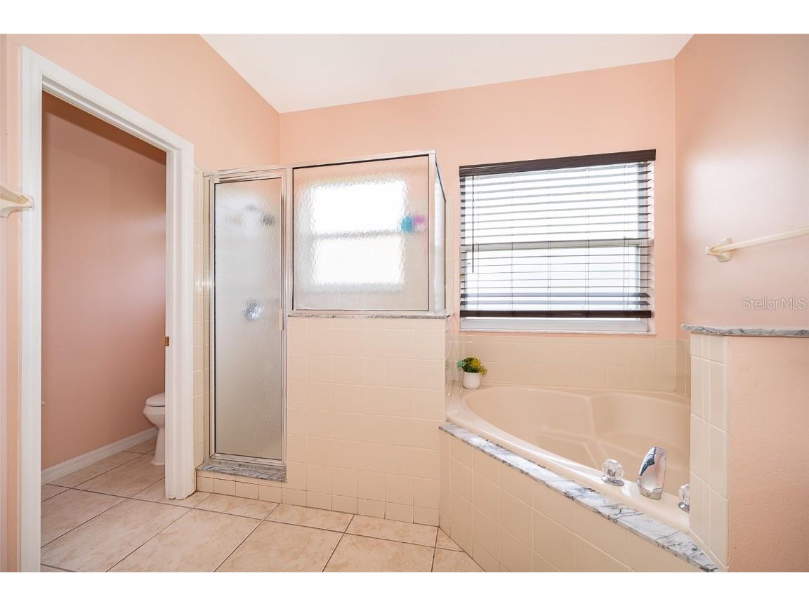 5312 Coral Vine Lane Kissimmee FL 34758 S5133504 image16