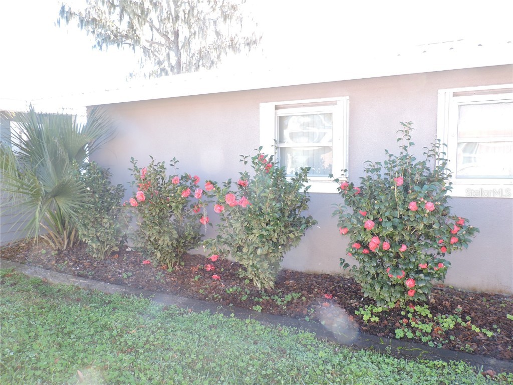 5312 Lakeside Drive Lake Wales FL 33898 - LAKE PIERCE K4903182 image52