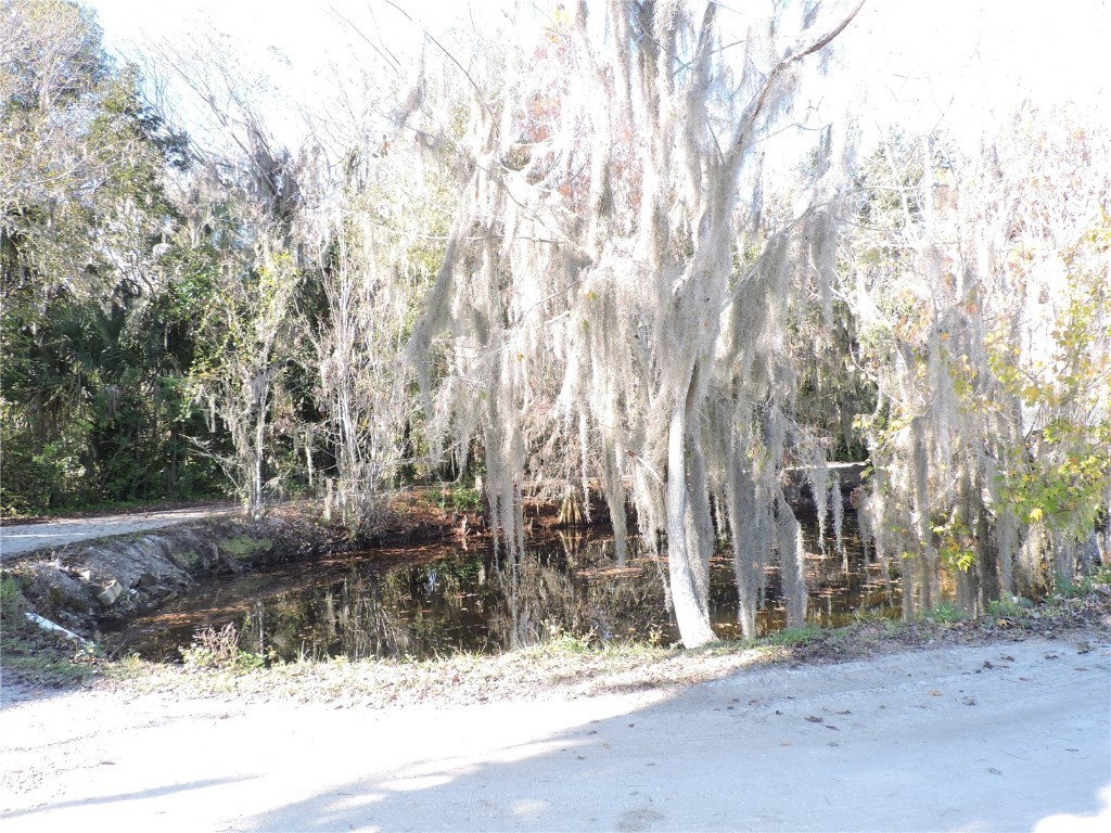 5312 Lakeside Drive Lake Wales FL 33898 - LAKE PIERCE K4903182 image54