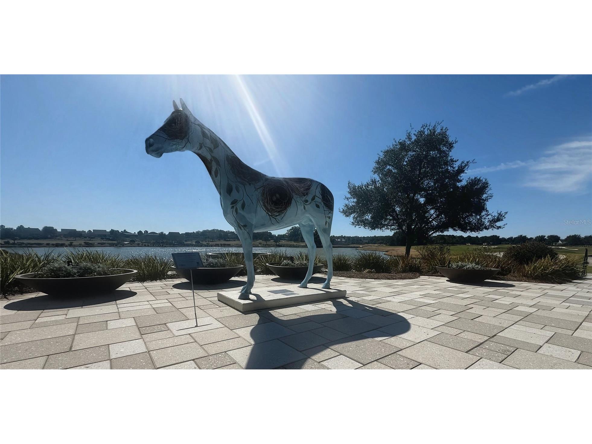 5312 NW 33rd Place Ocala FL 34482 OM717573 image54