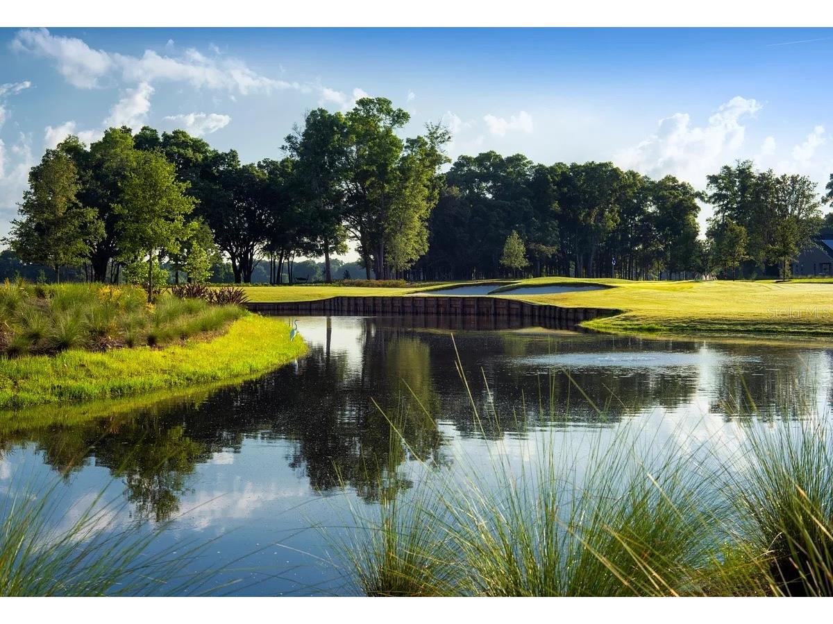 5312 NW 33rd Place Ocala FL 34482 OM717573 image60