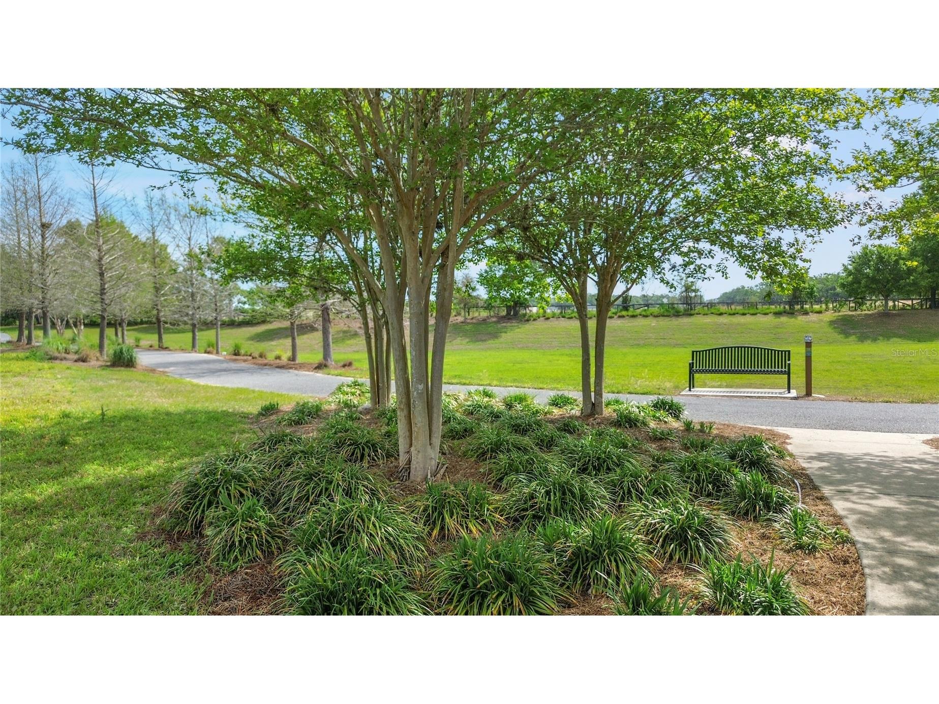 5312 NW 33rd Place Ocala FL 34482 OM717573 image67