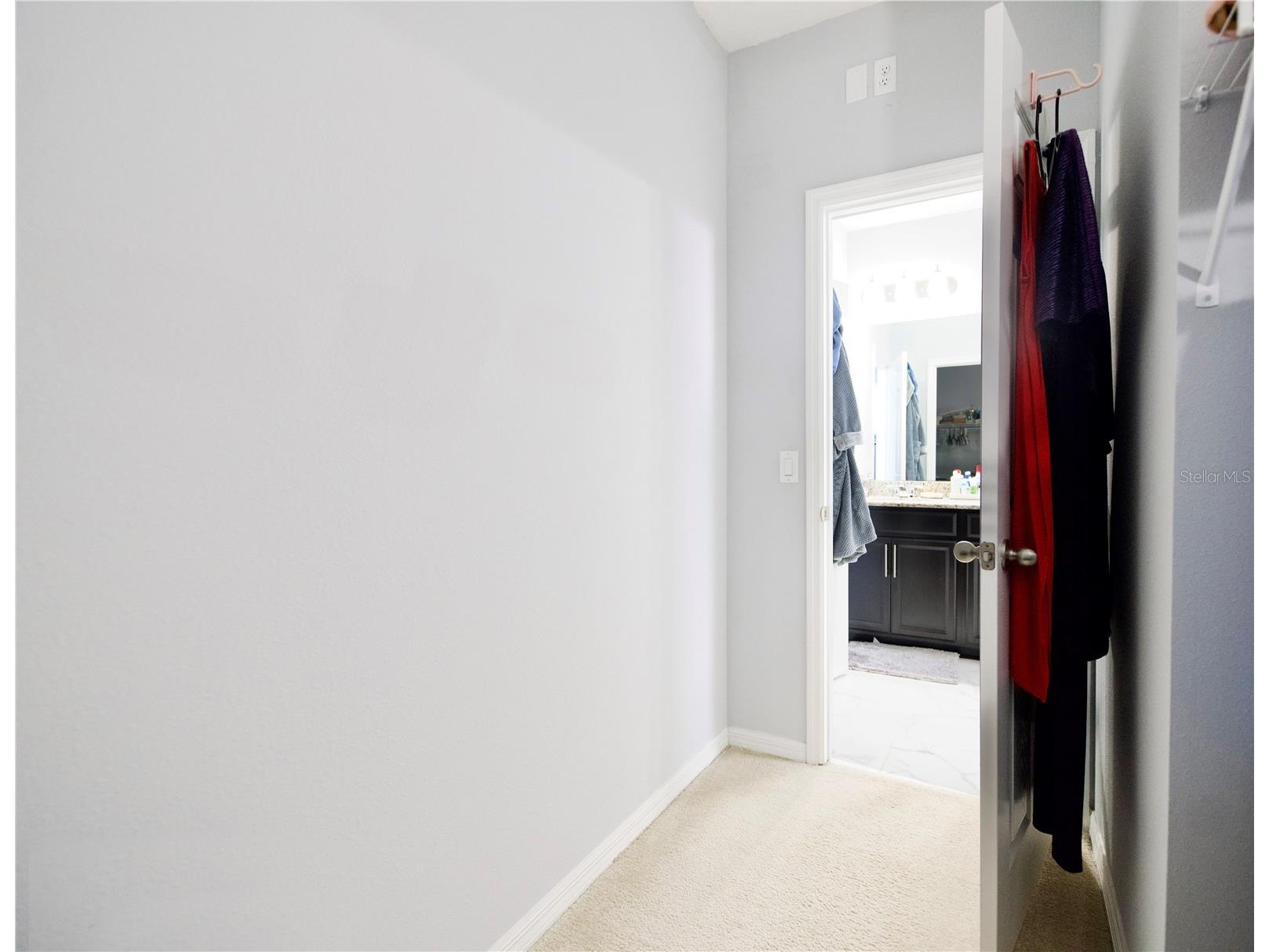 5312 Suncatcher Drive Wesley Chapel FL 33545 TB8492282 image29