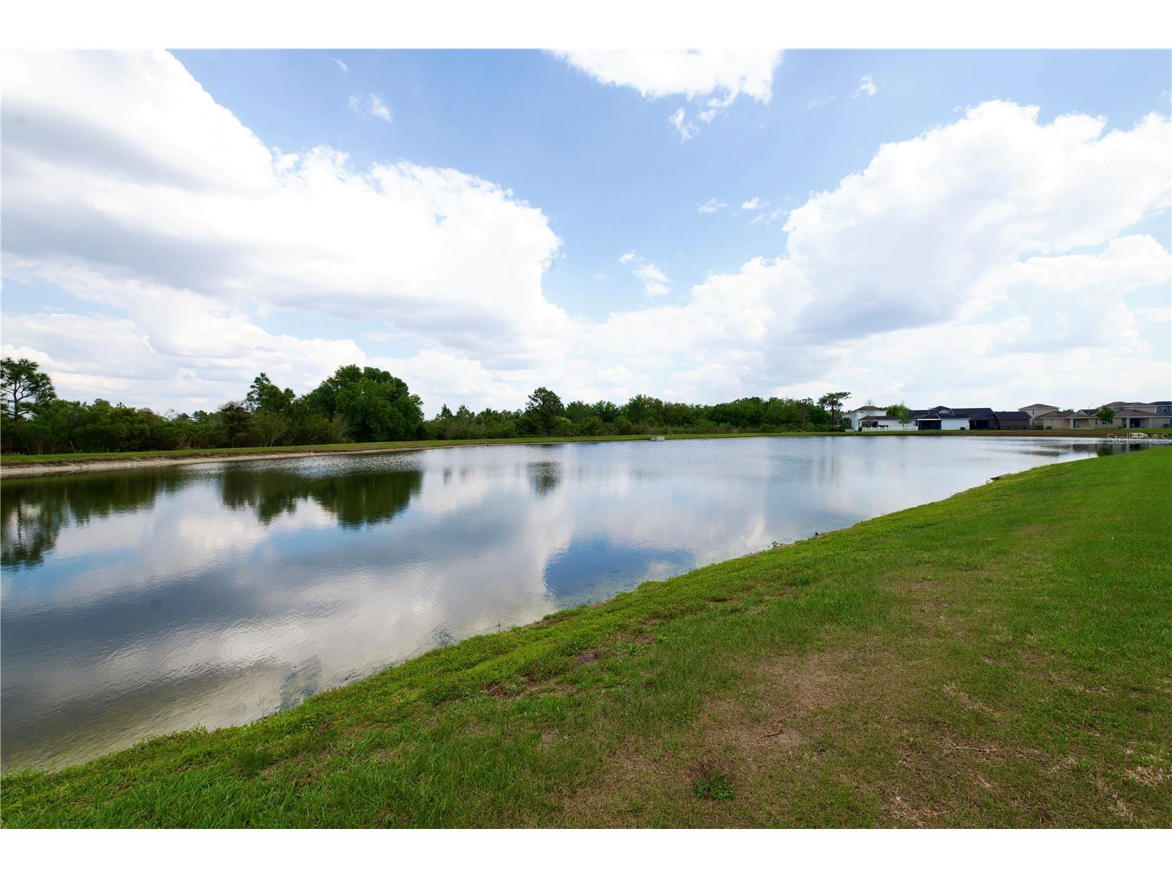 5312 Suncatcher Drive Wesley Chapel FL 33545 TB8492282 image8