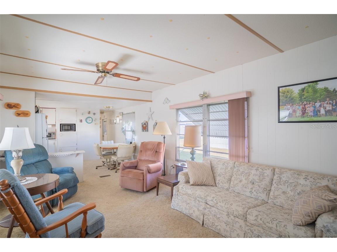 5313 Aurora Drive Zephyrhills FL 33541 P4937013 image3