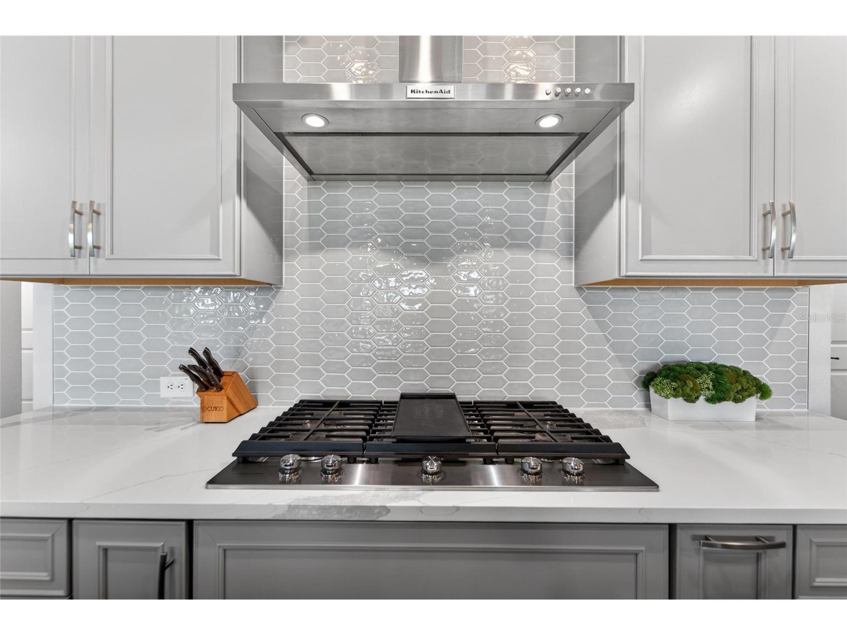 5313 Del Coronado Drive Apollo Beach FL 33572 TB8509533 image18