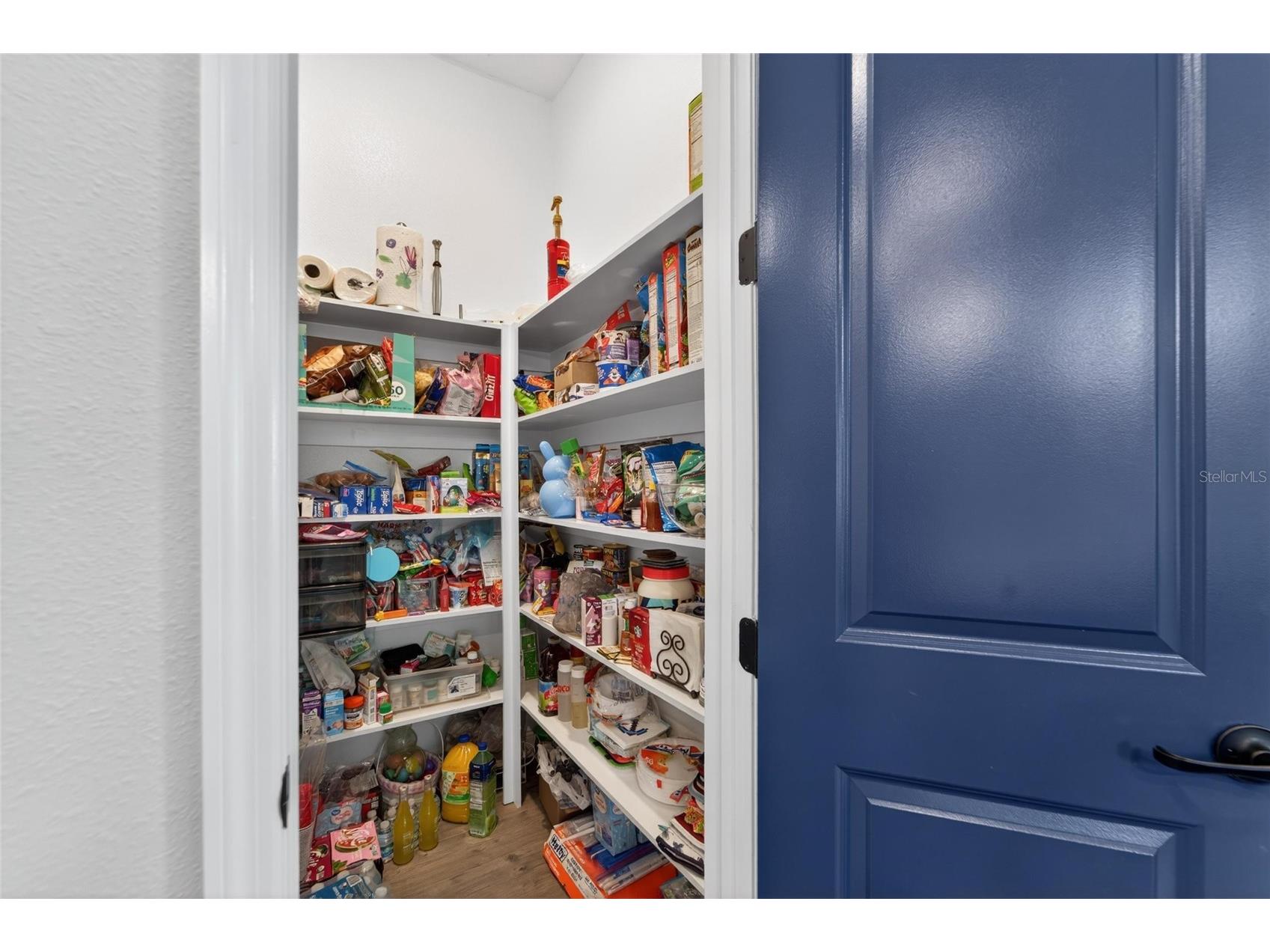 5313 Del Coronado Drive Apollo Beach FL 33572 TB8509533 image20