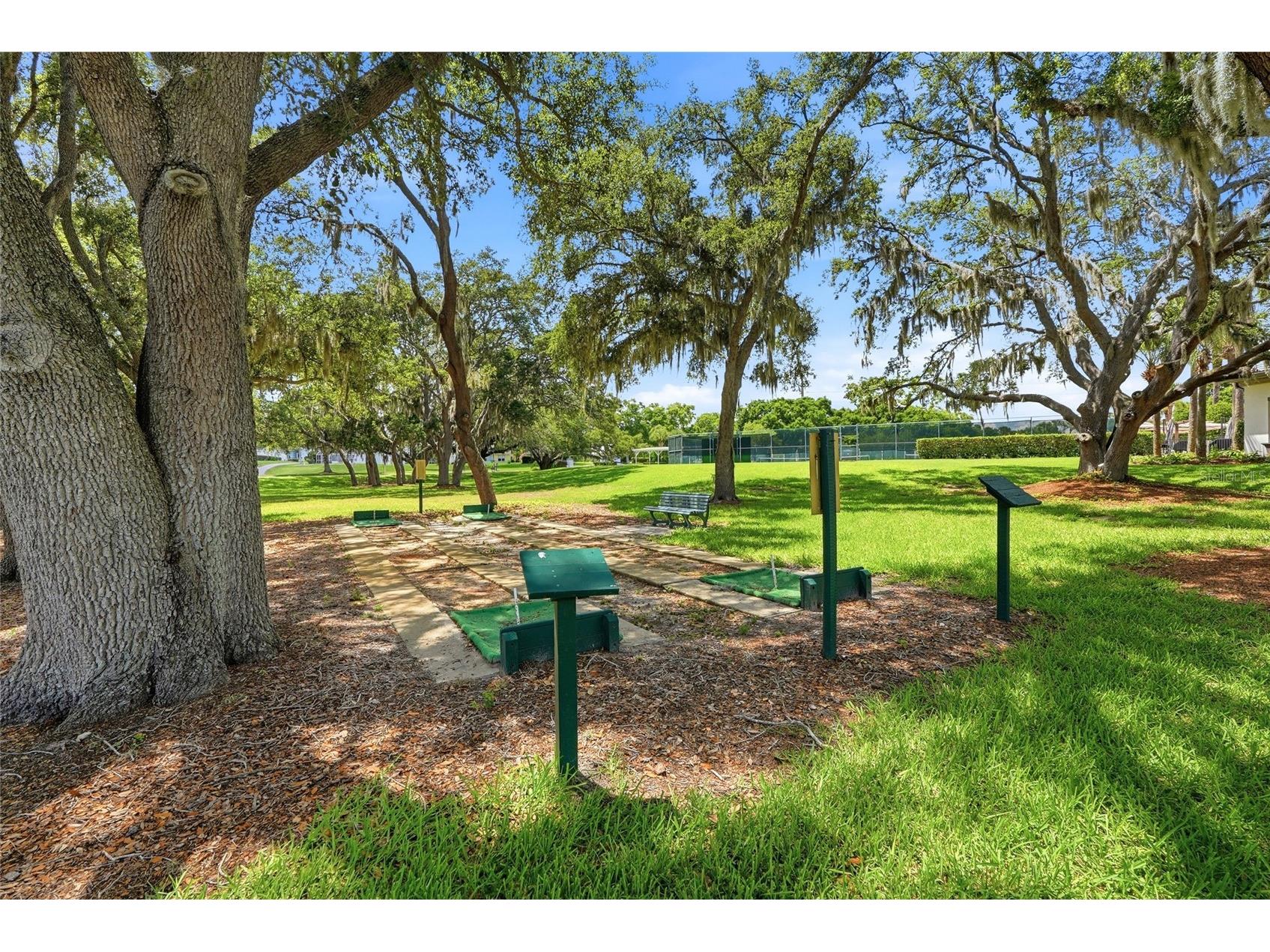 5313 Fantasy Way Leesburg FL 34748 TB8519251 image41