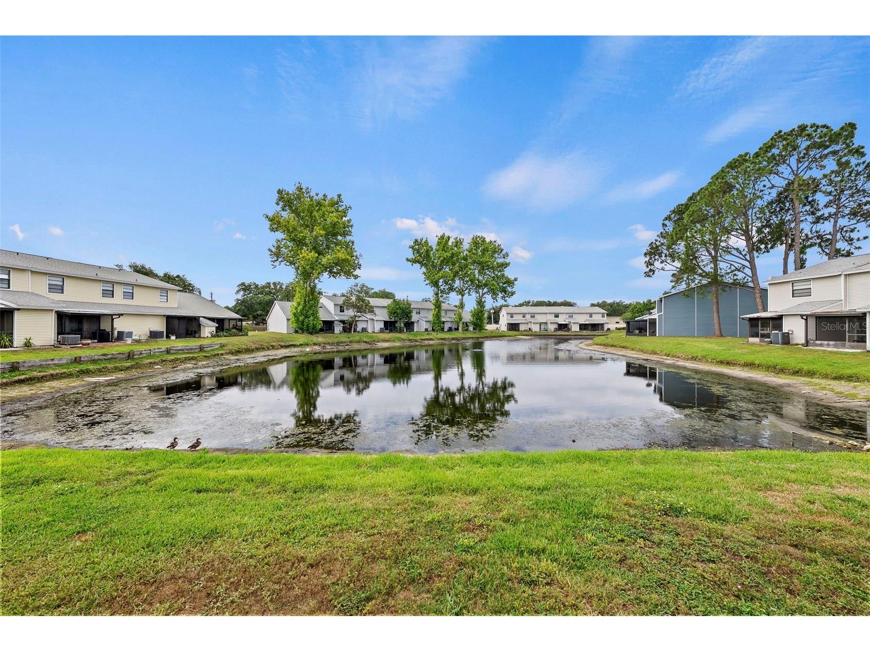 5314 Abinger Court Tampa FL 33624 TB8507756 image20