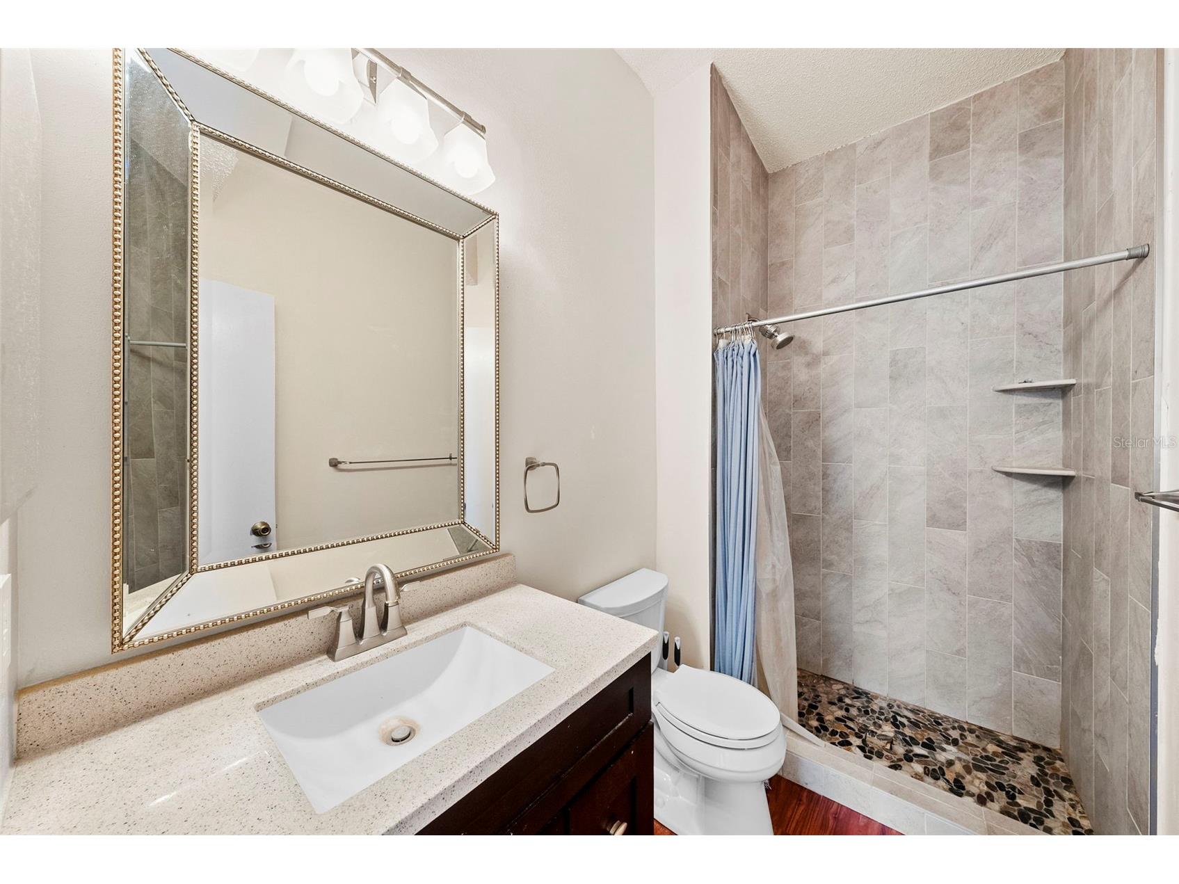 5314 Abinger Court Tampa FL 33624 TB8507756 image25