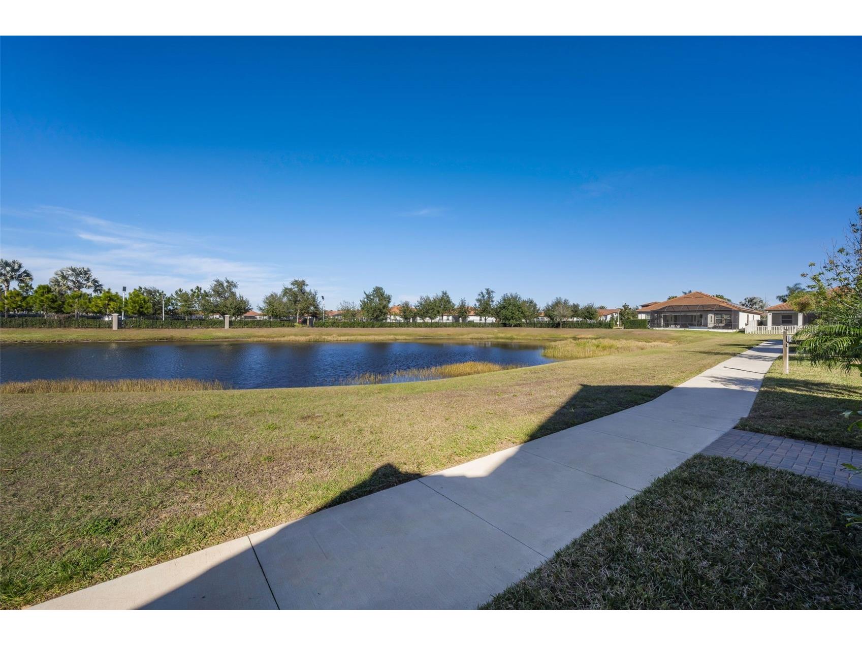 5314 Stoic Vale Drive Wimauma FL 33598 TB8468533 image50