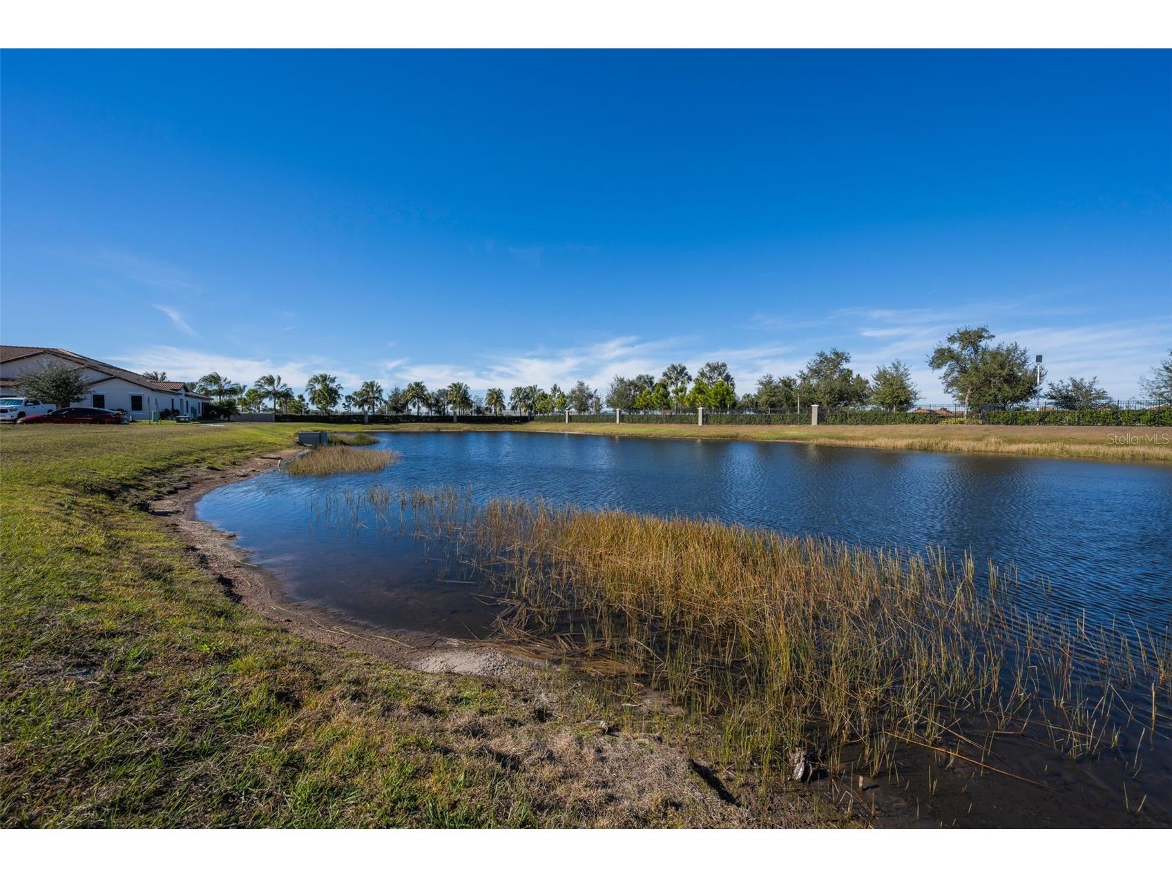 5314 Stoic Vale Drive Wimauma FL 33598 TB8468533 image51