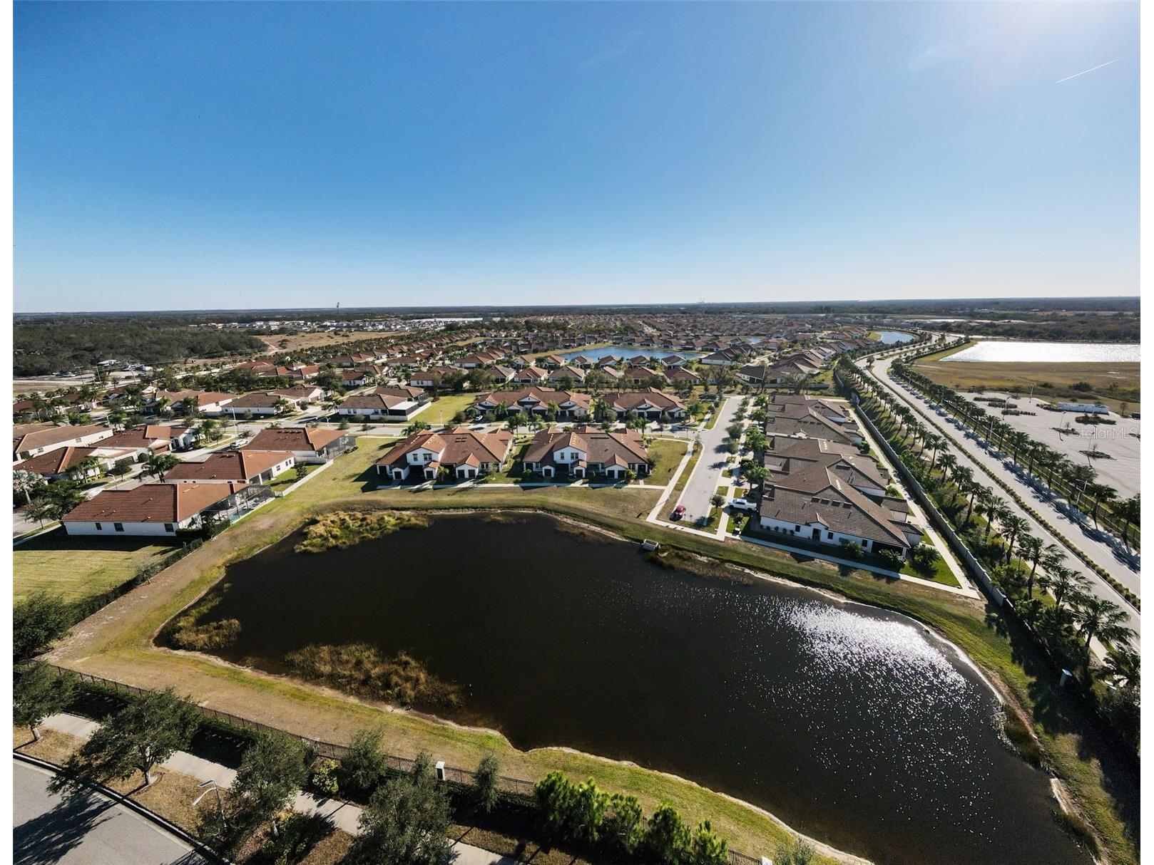 5314 Stoic Vale Drive Wimauma FL 33598 TB8468533 image60