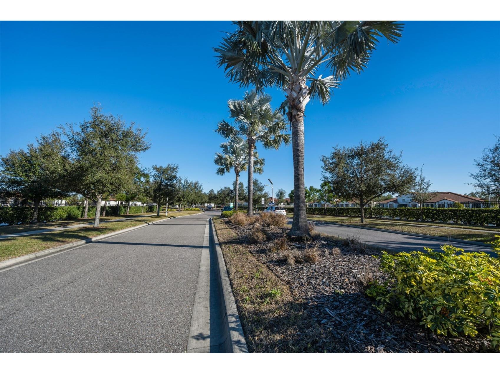5314 Stoic Vale Drive Wimauma FL 33598 TB8468533 image63