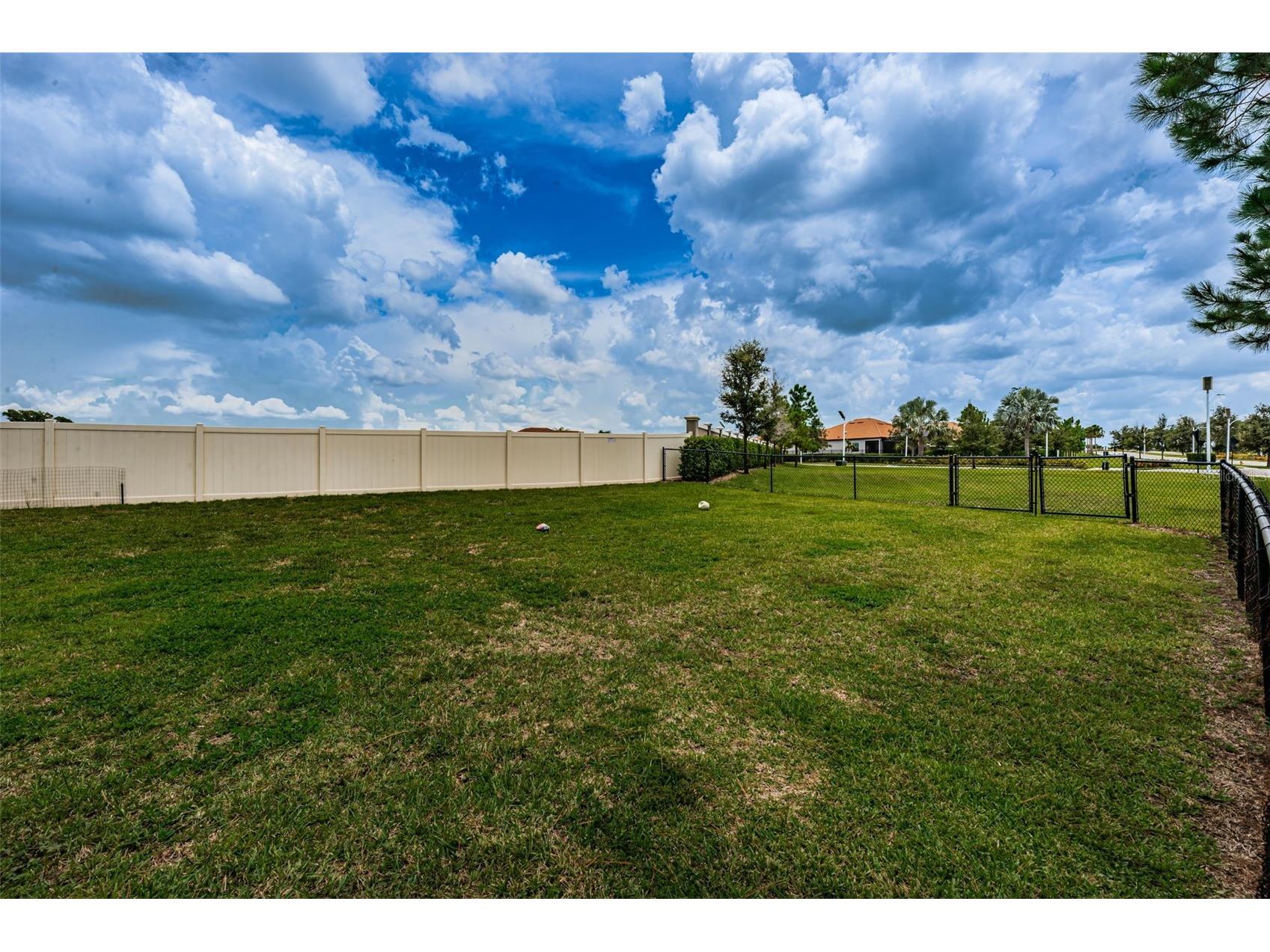 5314 Stoic Vale Drive Wimauma FL 33598 TB8468533 image98