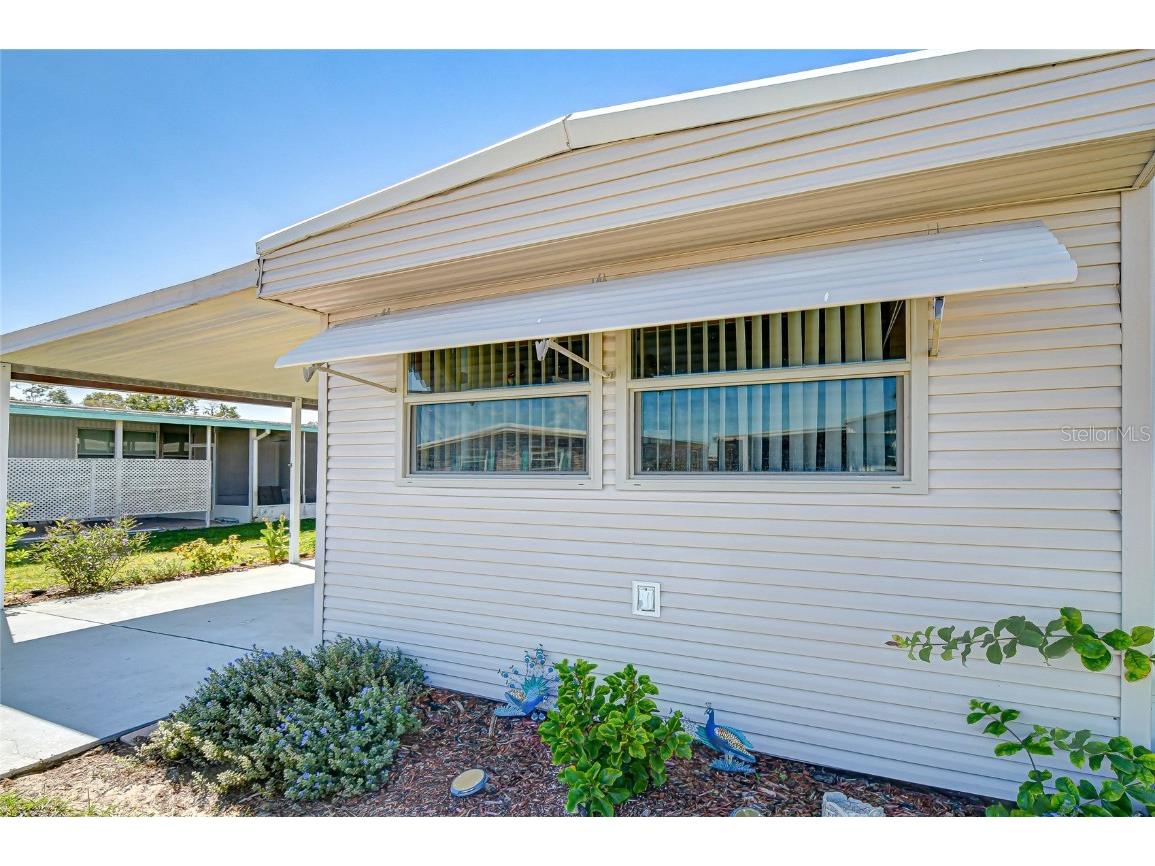 5315 Antigua Drive Zephyrhills FL 33541 TB8442433 image23