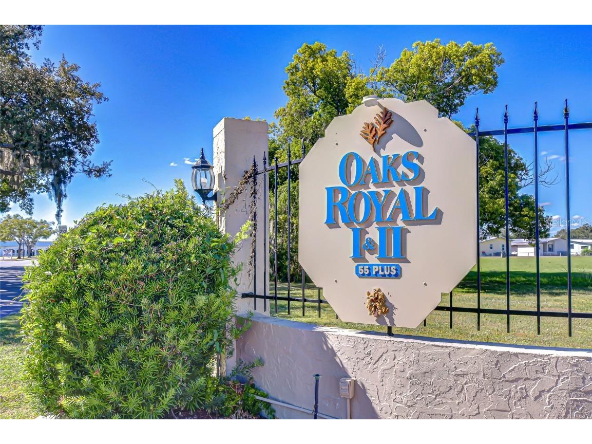 5315 Antigua Drive Zephyrhills FL 33541 TB8442433 image65