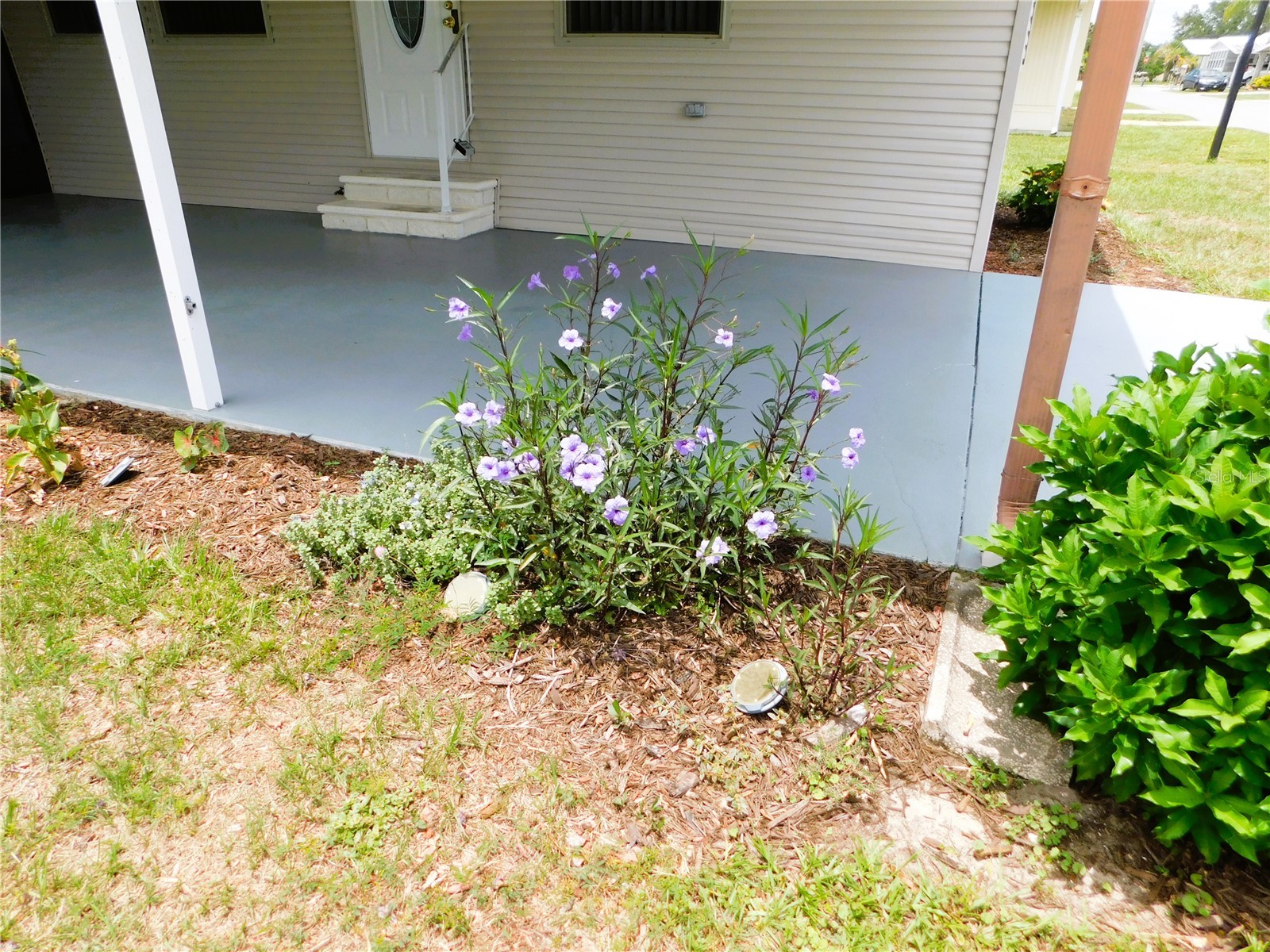 5315 Antigua Drive Zephyrhills FL 33541 TB8516153 image2
