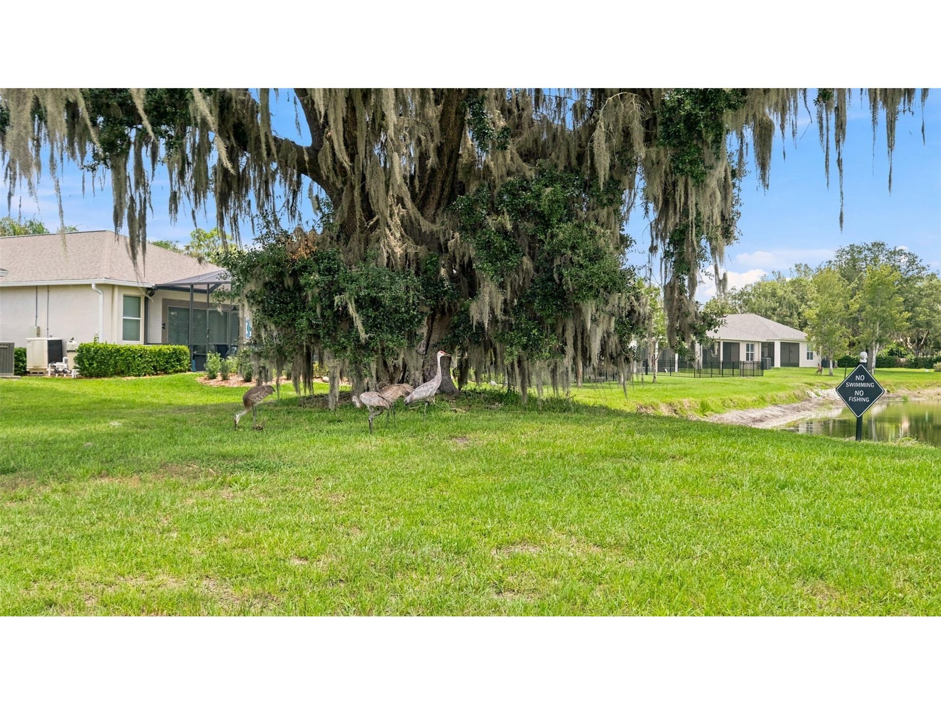 5315 Cappleman Loop Brooksville FL 34601 TB8528076 image52