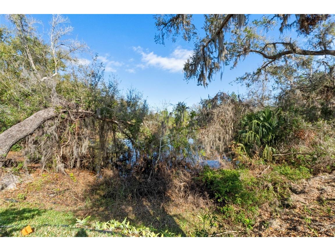 5315 Meadow Song Drive Okahumpka FL 34762 O6337342 image30