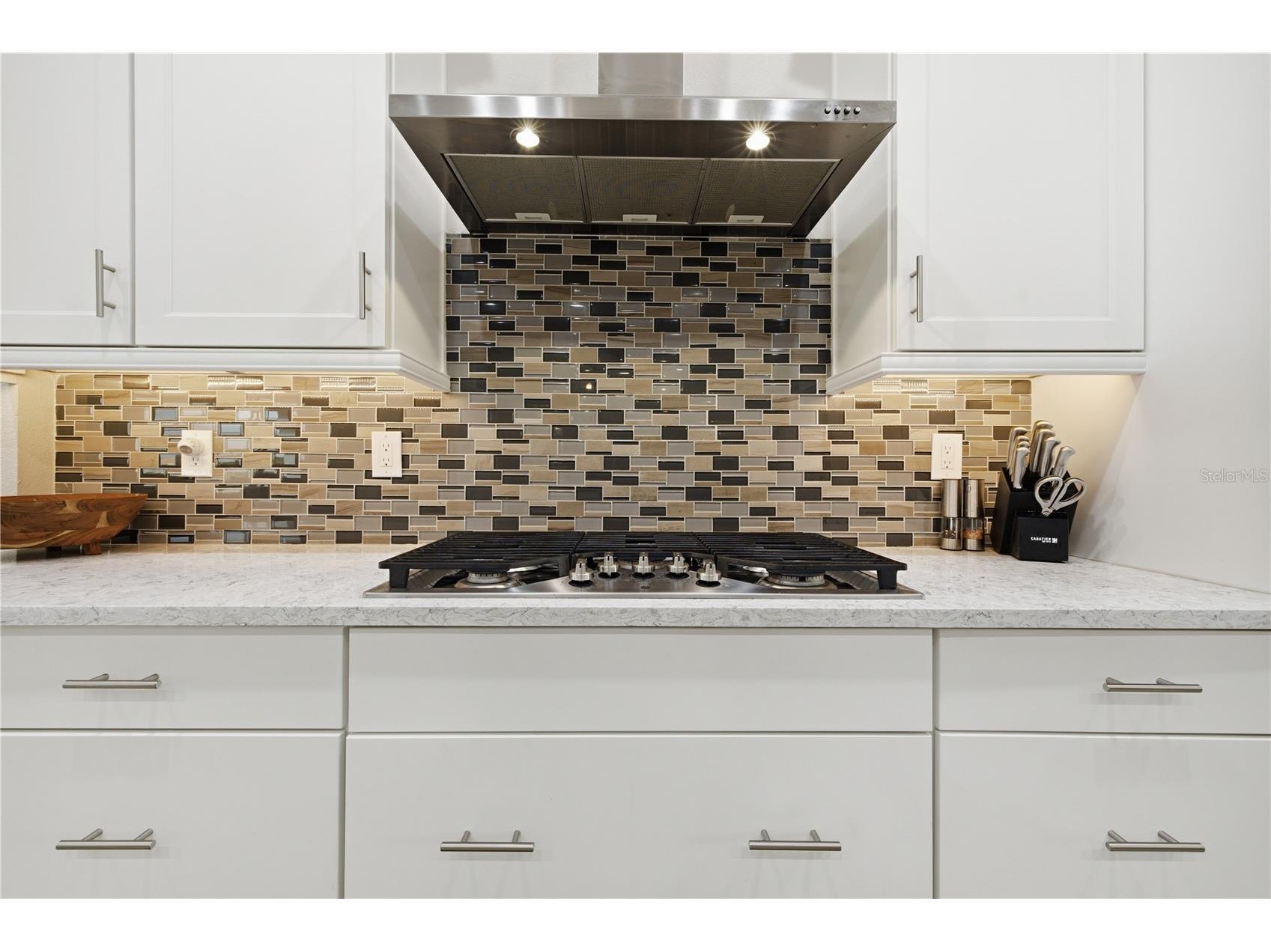 5315 San Remo Circle Wimauma FL 33598 - LAKE TOSCANA A4696238 image18