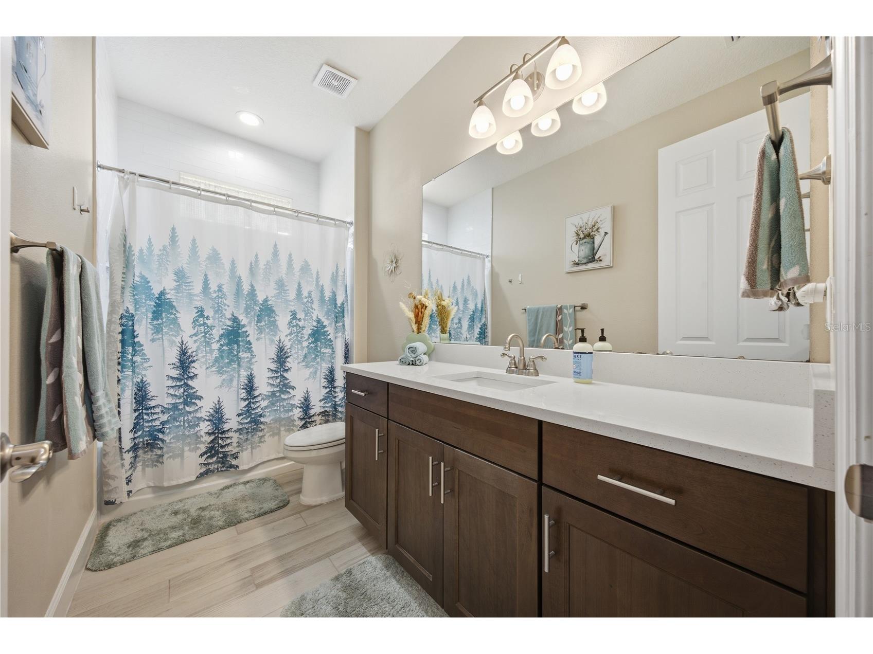 5315 San Remo Circle Wimauma FL 33598 - LAKE TOSCANA A4696238 image29