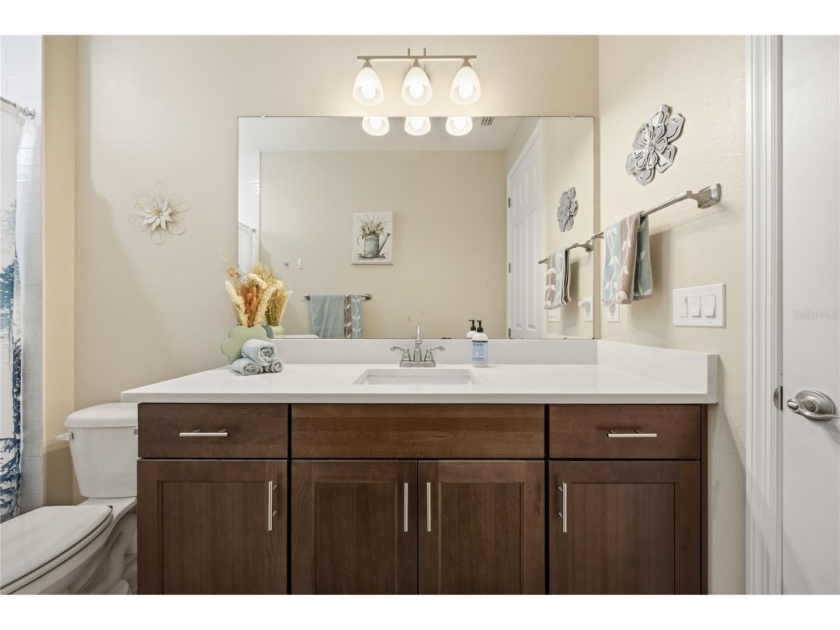 5315 San Remo Circle Wimauma FL 33598 - LAKE TOSCANA A4696238 image38