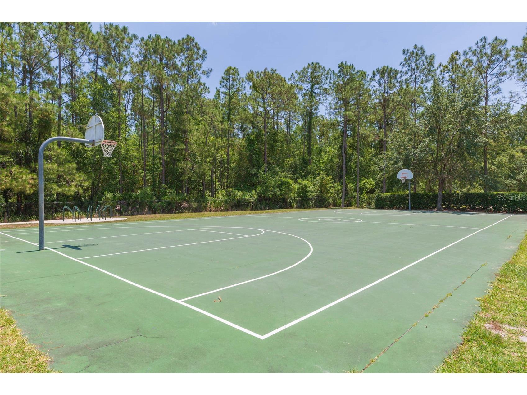 5315 Spectacular Bid Drive Wesley Chapel FL 33544 TB8511819 image29