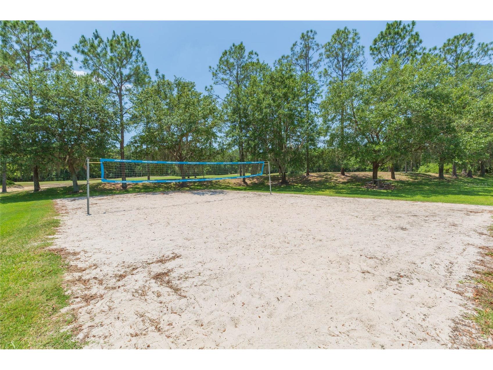 5315 Spectacular Bid Drive Wesley Chapel FL 33544 TB8511819 image30