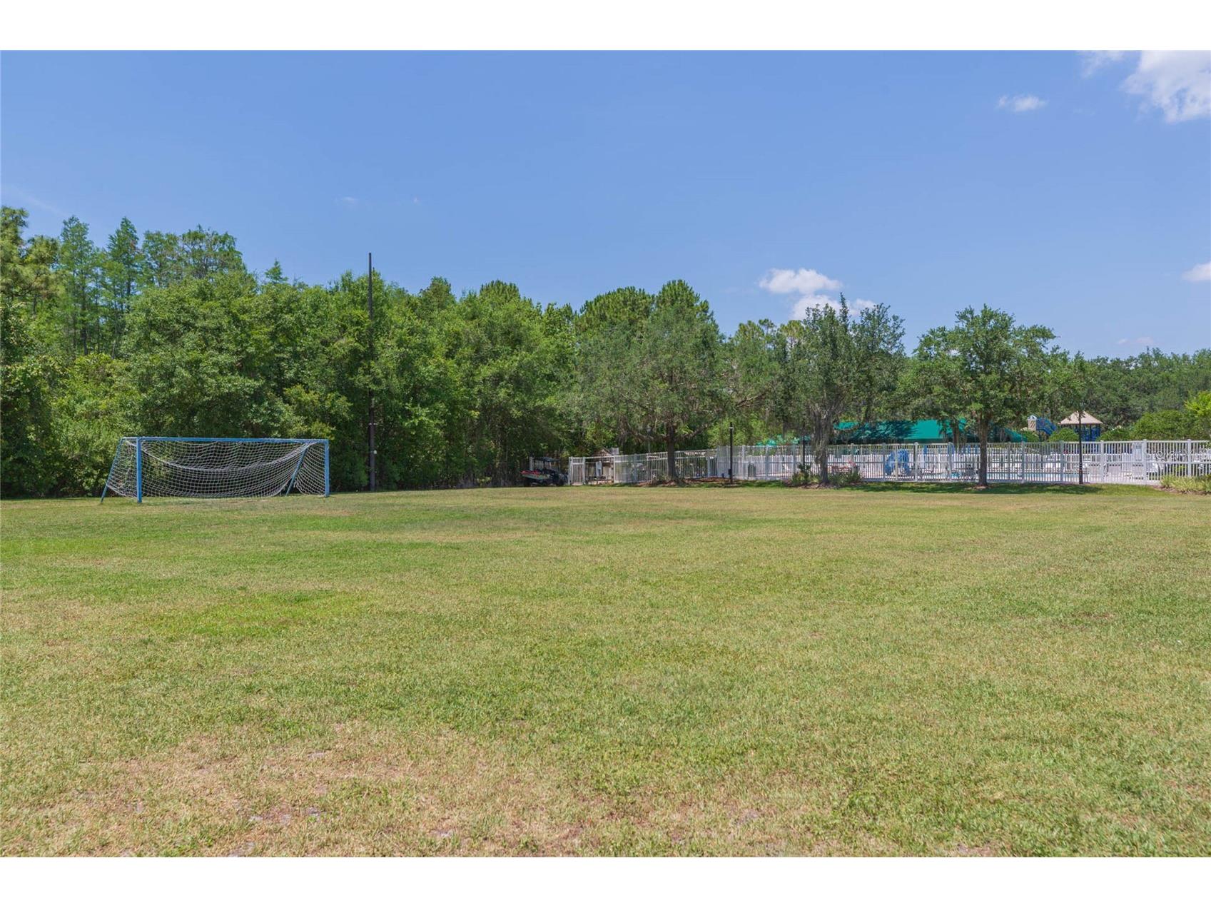 5315 Spectacular Bid Drive Wesley Chapel FL 33544 TB8511819 image31