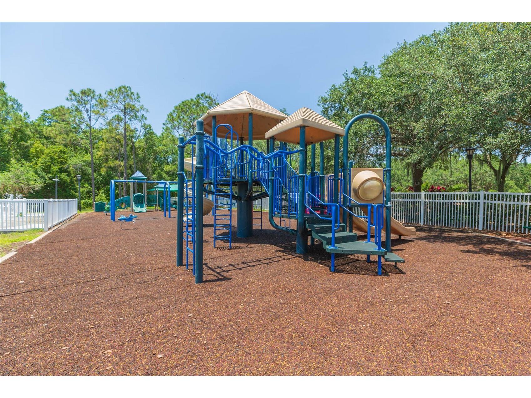 5315 Spectacular Bid Drive Wesley Chapel FL 33544 TB8511819 image32