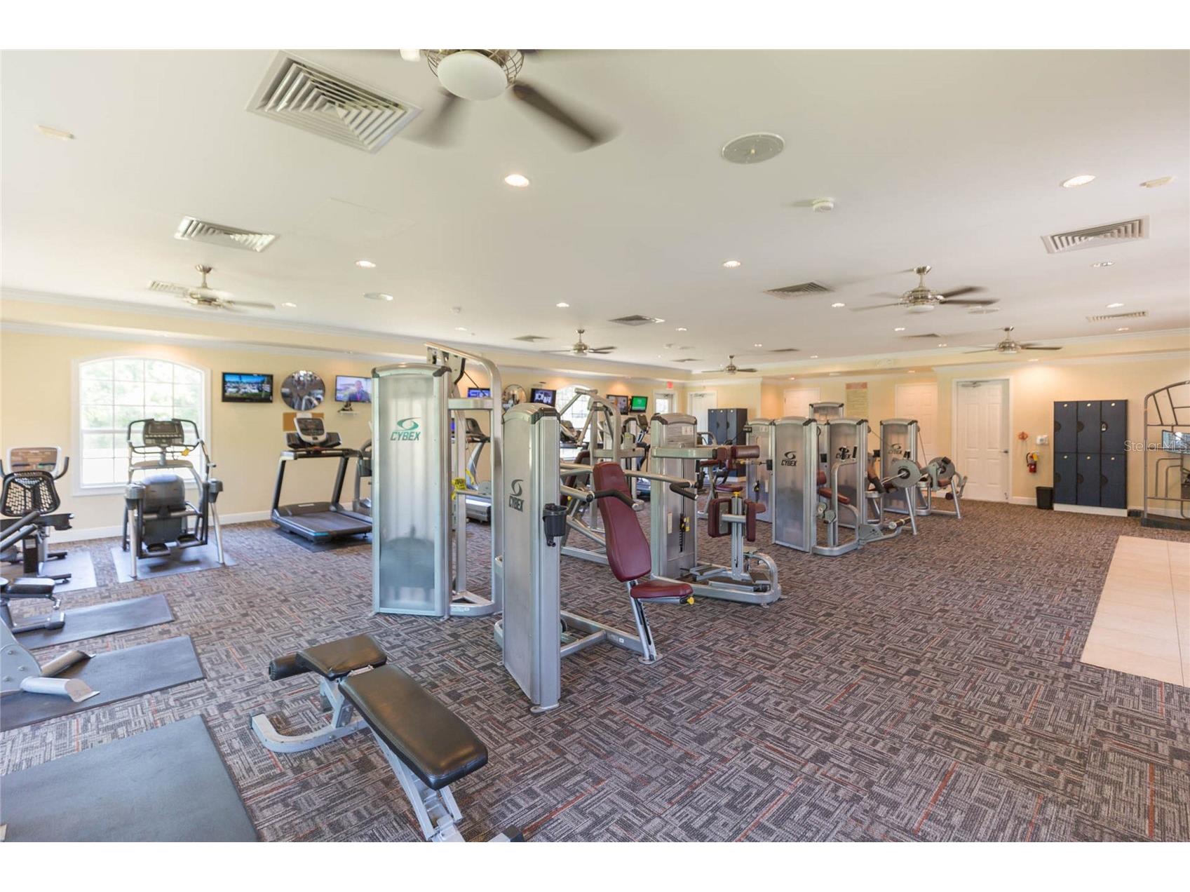 5315 Spectacular Bid Drive Wesley Chapel FL 33544 TB8511819 image38