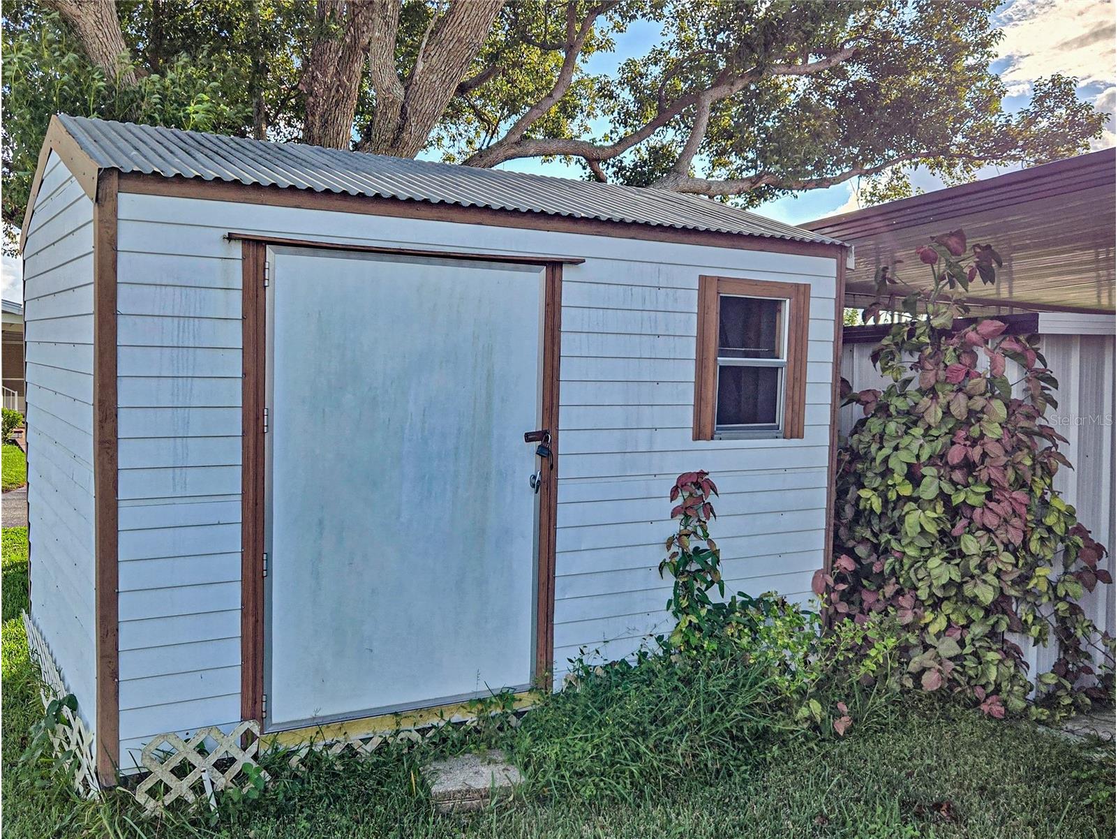 5316 Comanche Street Zephyrhills FL 33542 TB8435794 image11