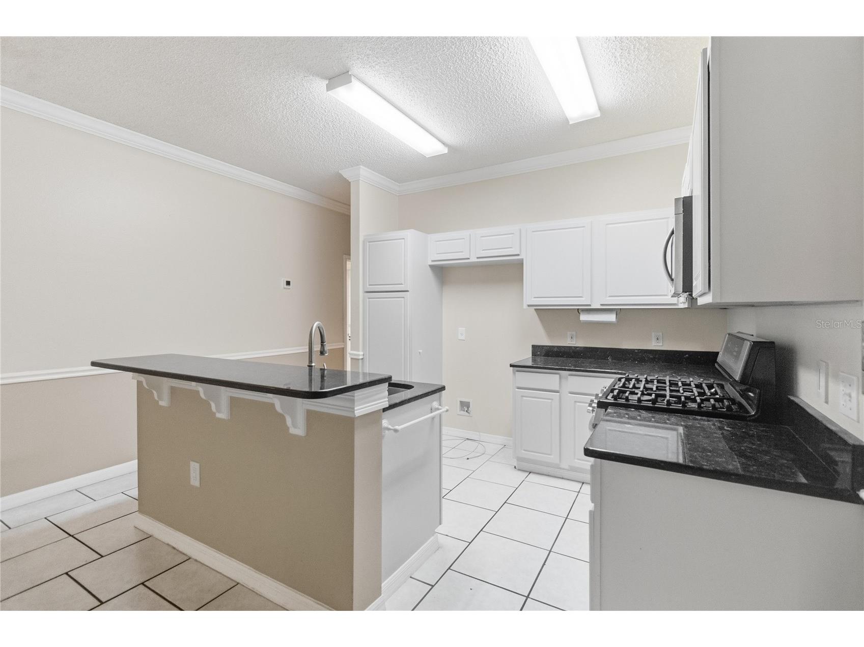 5316 Coral Vine Lane Kissimmee FL 34758 O6396648 image13
