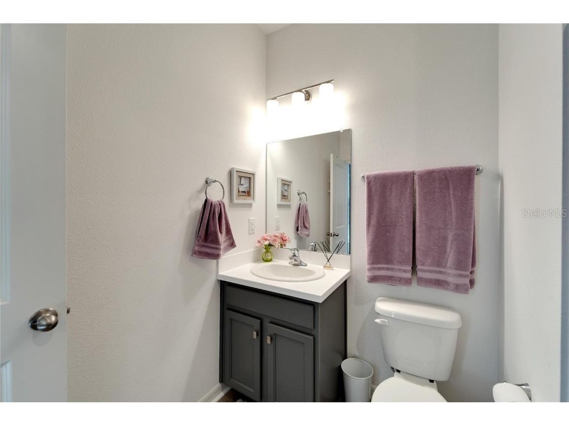 5316 Gavella Cove Palmetto FL 34221 TB8433765 image32