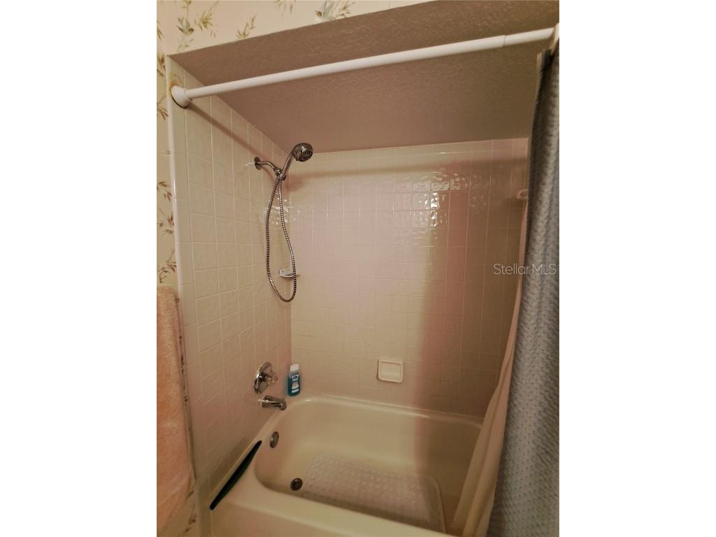 5316 Lochmead Terrace Zephyrhills FL 33541 TB8427338 image19