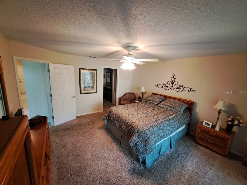 5316 Lochmead Terrace Zephyrhills FL 33541 TB8427338 image47