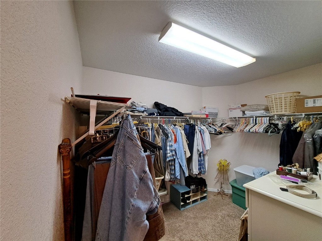 5316 Lochmead Terrace Zephyrhills FL 33541 TB8427338 image52