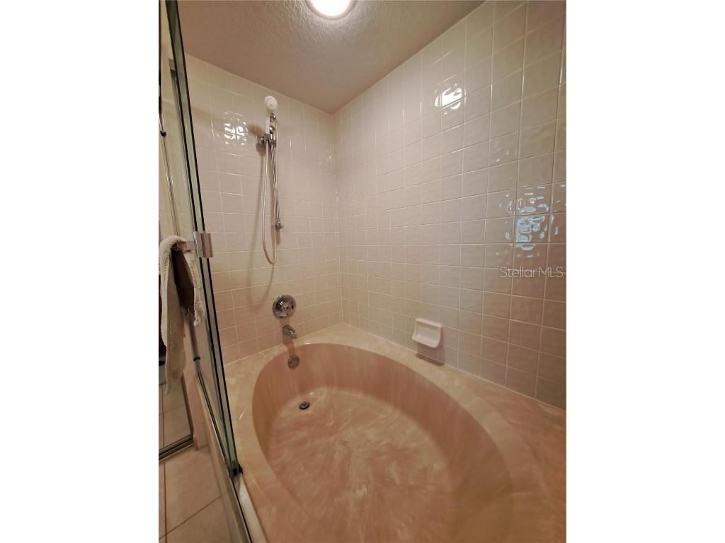 5316 Lochmead Terrace Zephyrhills FL 33541 TB8427338 image54