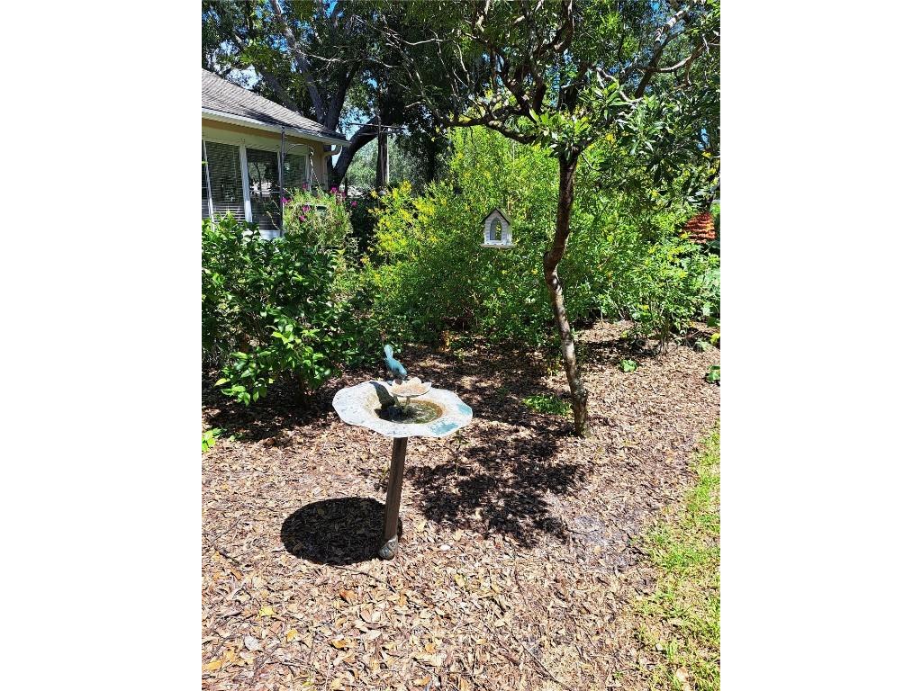 5316 Lochmead Terrace Zephyrhills FL 33541 TB8427338 image56