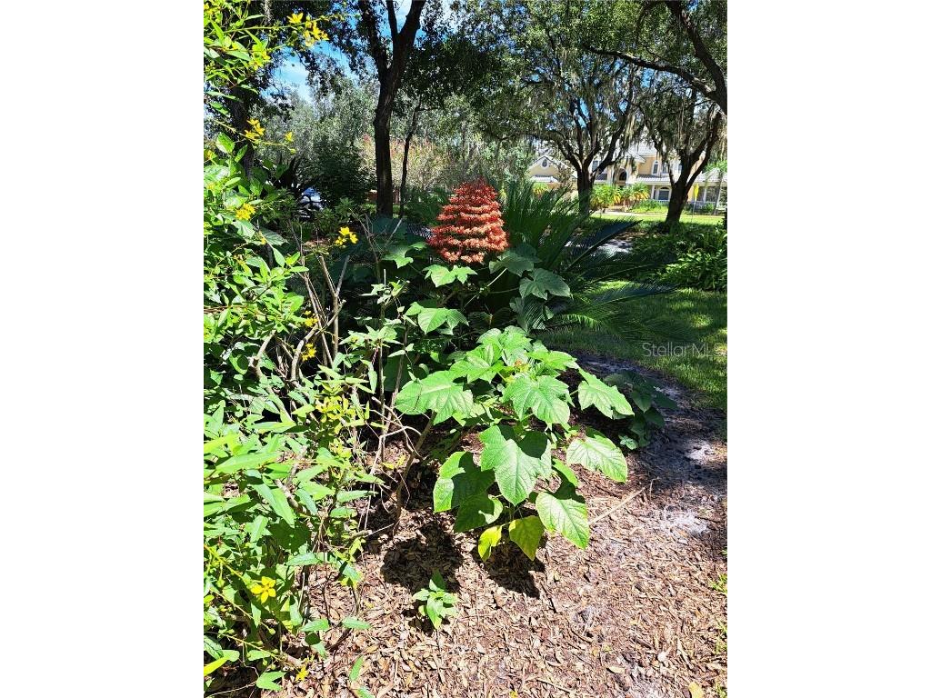 5316 Lochmead Terrace Zephyrhills FL 33541 TB8427338 image57