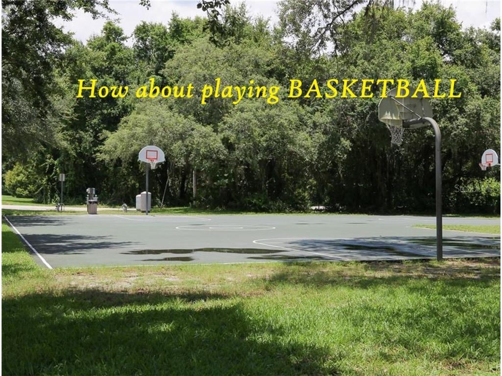 5316 Lochmead Terrace Zephyrhills FL 33541 TB8427338 image59